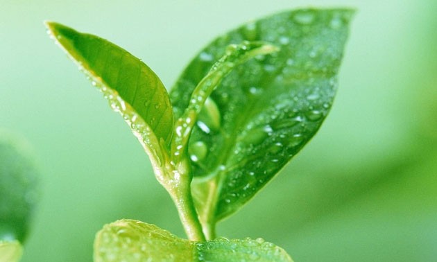 ตู้เย็นอับ 3.jpg