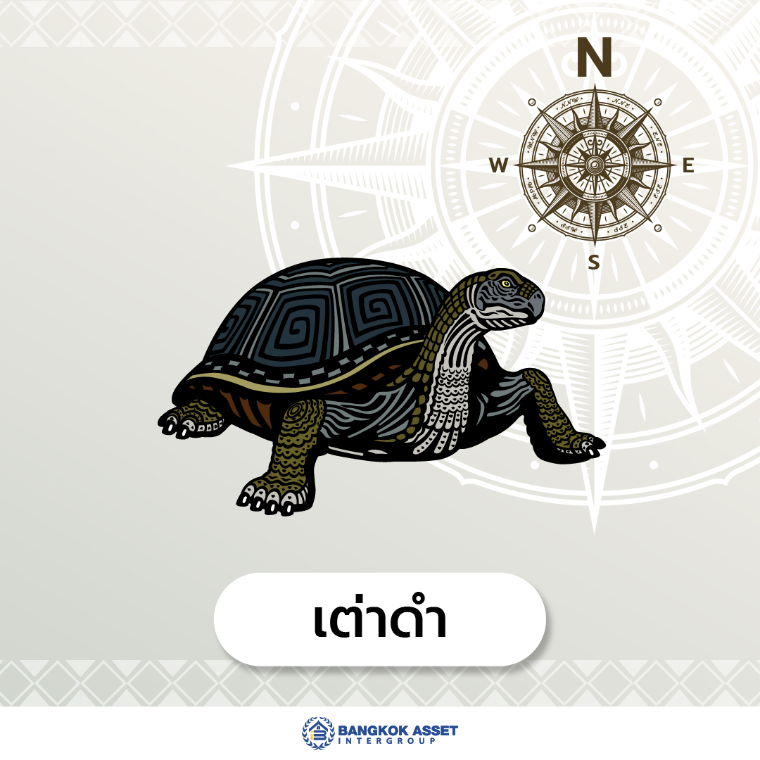 ฮวงจุ้ยบ้านที่ดี ทำไมต้องมี มังกรเขียว เสือขาว หงส์แดง เต่าดำ_pic-04.jpg