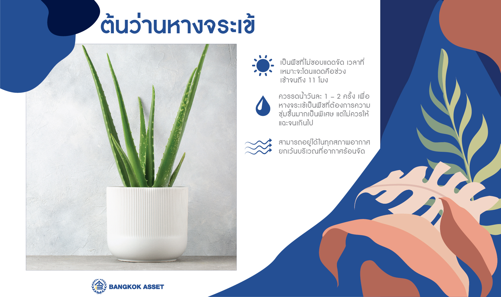 บ้านสวยด้วยต้นไม้ กับต้นไม้ฟอกอากาศ 5 ชนิด ลงเว็บ-05.jpg