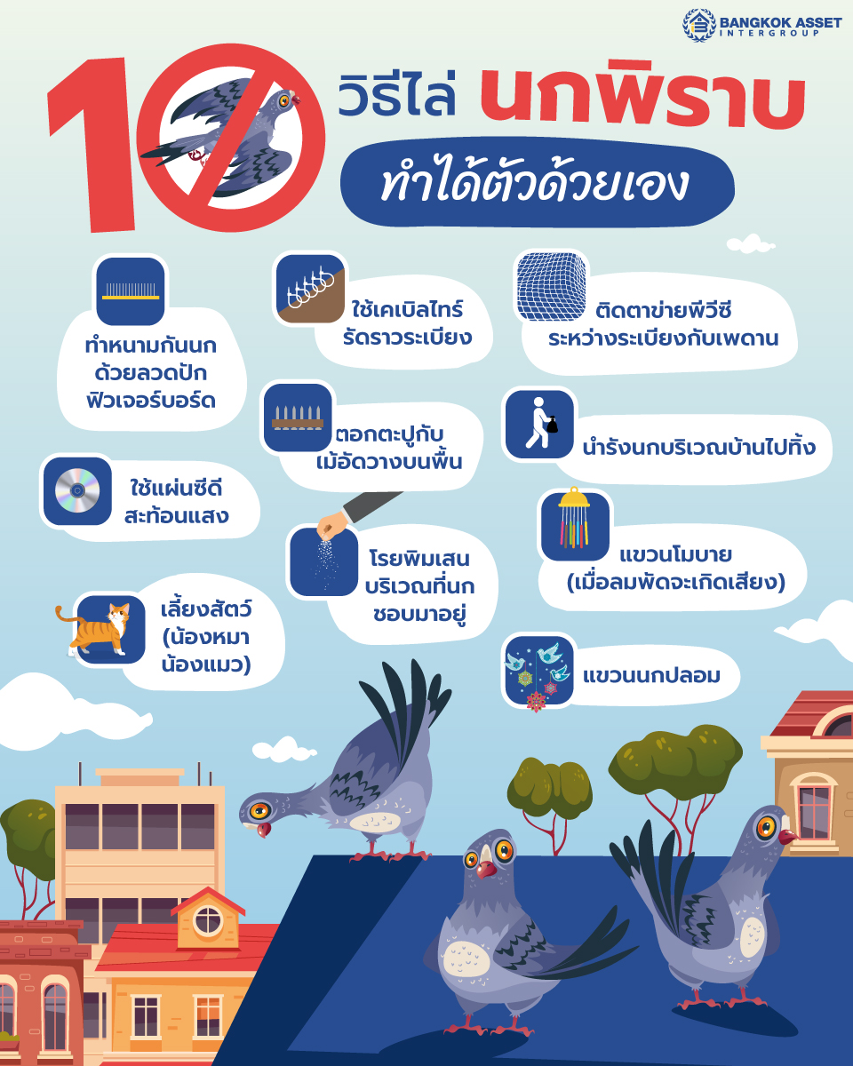 10-วิธีไล่นกพิราบ-บนระเบียงและหลังคาบ้าน-ทำได้ตัวด้วยเอง.jpg