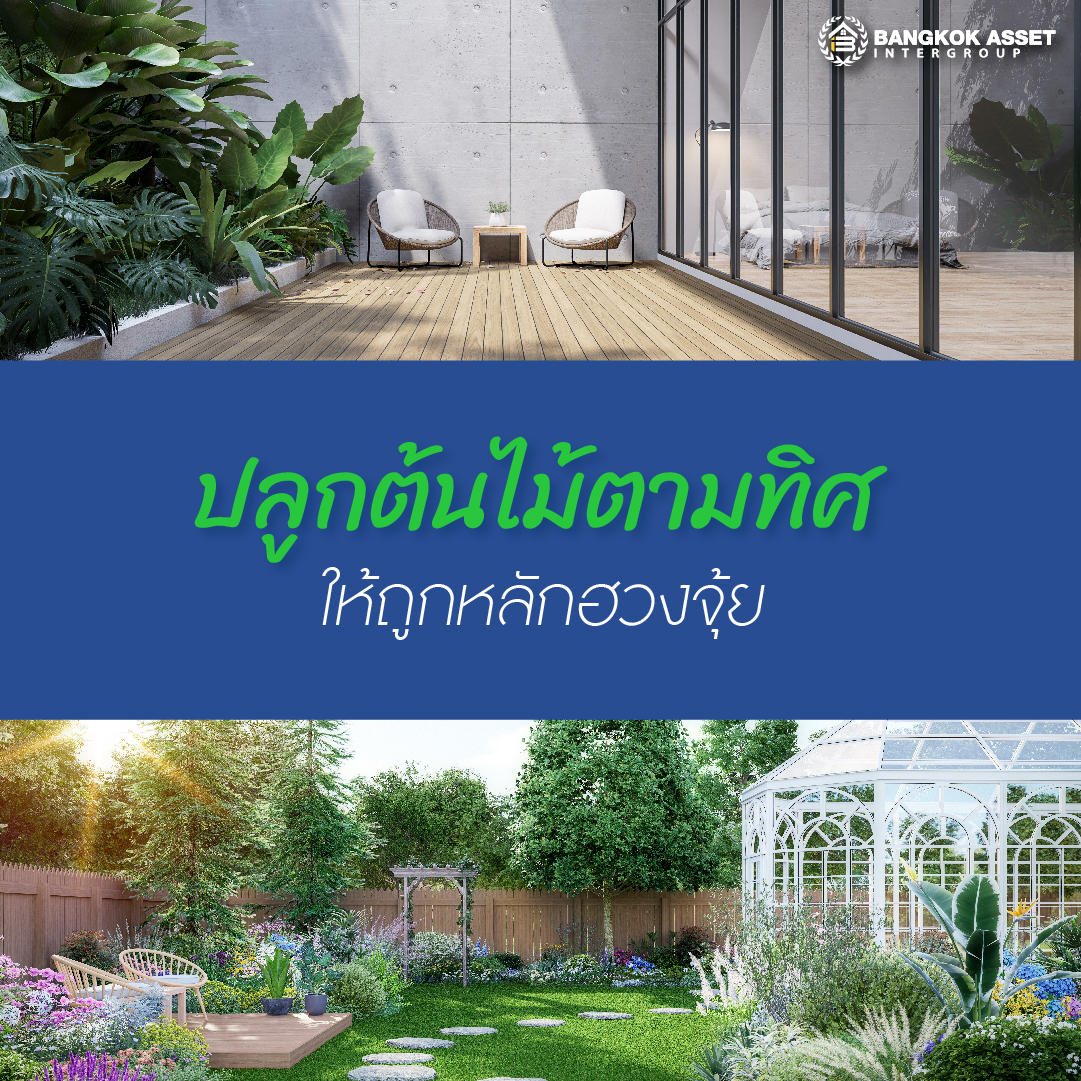 5 ฮวงจุ้ยจัดสวน ปลูกต้นไม้ เสริมมงคลบ้าน-04.jpg