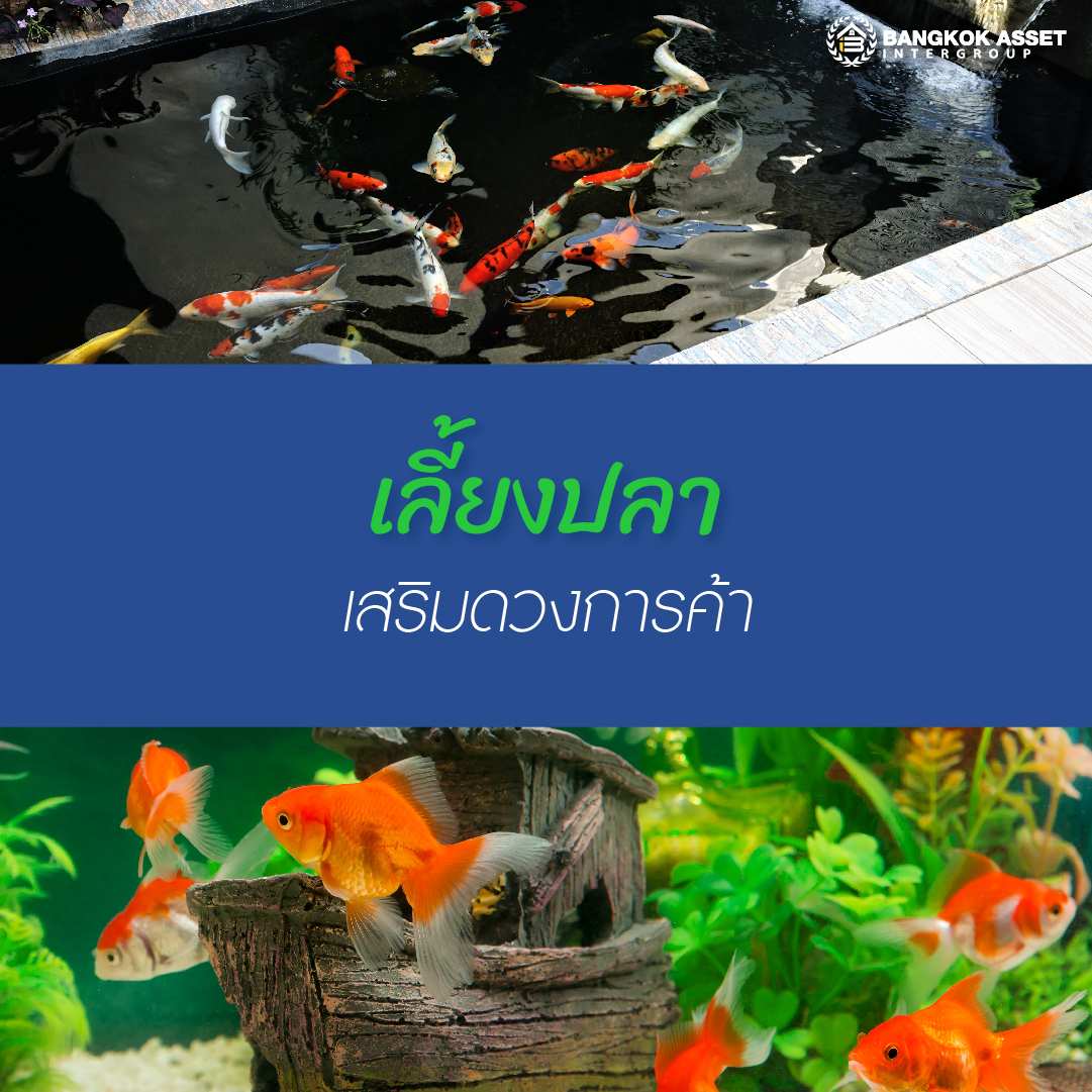 5 ฮวงจุ้ยจัดสวน ปลูกต้นไม้ เสริมมงคลบ้าน-06.jpg