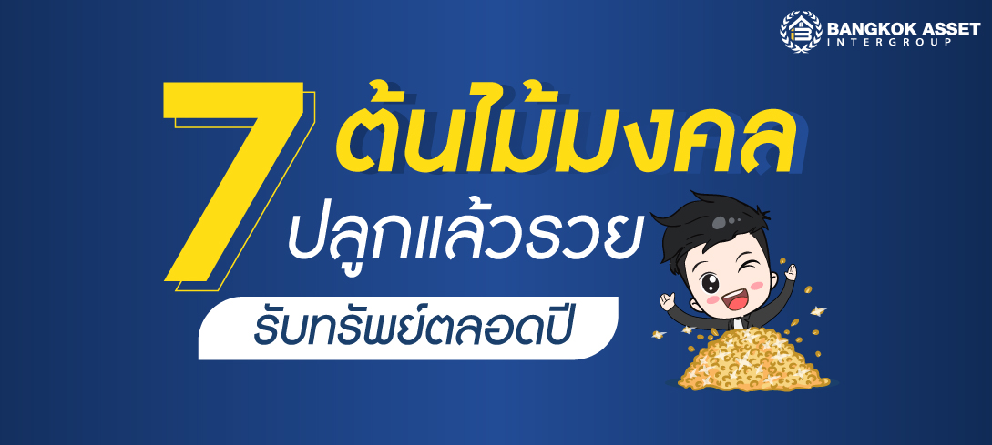 7 ต้นไม้มงคล ปลูกแล้วรวย รับทรัพย์ตลอดปี