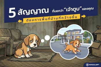 5 สัญญาณที่บอกว่า 'เจ้าตูบ' ของคุณต้องการพื้นที่บ้านที่กว้างขึ้น