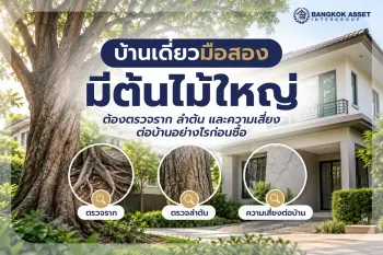 บ้านเดี่ยวมือสองมีต้นไม้ใหญ่ ต้องตรวจราก ลำต้น และความเสี่ยงต่อบ้านอย่างไรก่อนซื้อ