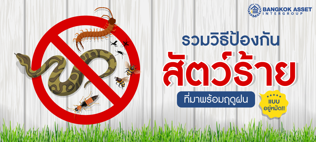 รวมวิธีป้องกันสัตว์ร้ายที่มาพร้อมฤดูฝน แบบอยู่หมัด