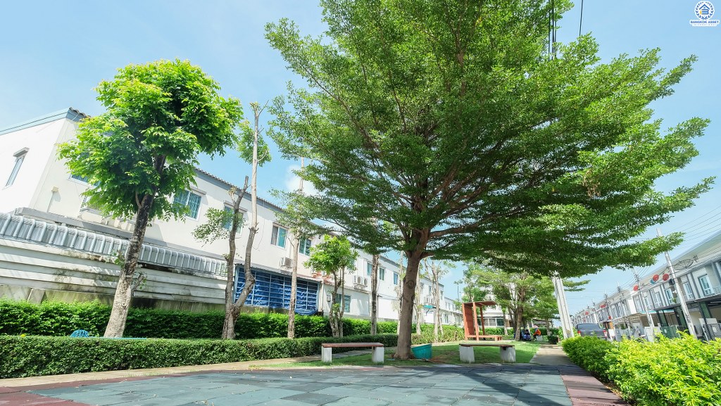 ทาวน์เฮ้าส์มือสองนนทบุรี ห้องมุม! ราคาถูกที่สุดในโครงการ* ม.วิลเลตไลท์ ติวานนท์-แจ้งวัฒนะ แถมเฟอร์นิเจอร์ Built-in สไตล์โมเดิร์นทั้งหลัง!! พร้อมฟังก์ชั่นครบ เนื้อที่ 25.6 ตร.ว. 3 ห้องนอน 2 ห้องน้ำ 2 ที่จอดรถ บนทำเลใกล้ห้าแยกปากเกร็ด และเซ็นทรัลแจ้งวัฒนะ...จองด่วน!