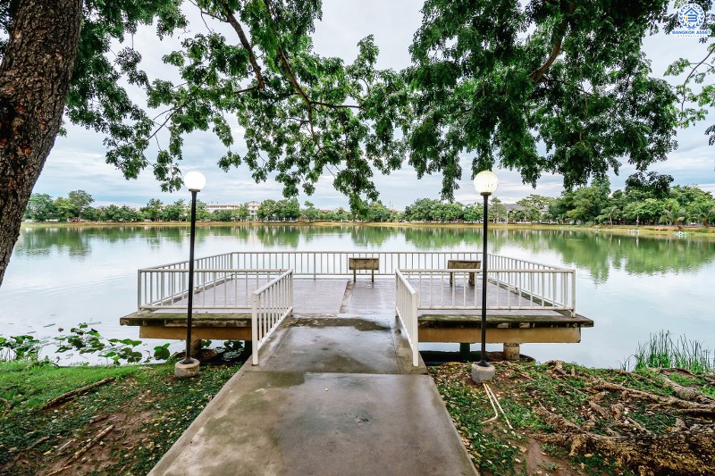 บ้านมือสองตกแต่งใหม่ LH เนื้อที่ 80 ตร.ว. โครงการ ชลลดา บางบัวทอง-รัตนาธิเบศร์ บ้านเดี่ยวสไตล์อบอุ่น รองรับกับทุกความสุข บนพื้นที่ใช้สอยกว้างเป็นพิเศษกว่า 200 ตร.ม. ฟังก์ชั่น 4นอน 2น้ำ พร้อม facilitys ครบครัน บนทำเลศักยภาพ เชื่อมต่อหลายเส้นทาง ใกล้เซ็นทรัลเวสต์เกต และ MRT สถานีบางพลู