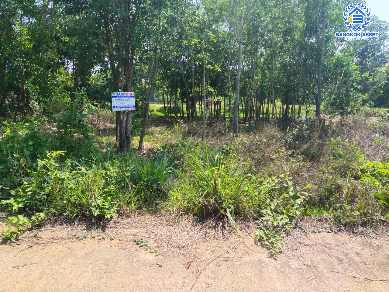 *****ที่ดินเปล่าทำเลยโสธร ที่ดินเปล่าซอยผักกาดเขียว ทำเลตัวเมืองยโสธร เนื้อที่ขนาด 74 ตร.ว. (หน้ากว้าง 12 เมตร) หน้าที่ดินติดถนนจักรวรรดิ สามารถสร้างเป็นที่อยู่อาศัยในช่วงบั้นปลายชีวิต ใกล้สวนสาธารณะพญาแถน และโรงพยาบาลยโสธร ราคาคุ้มสุดไม่ถึง 1 ล้าน!!