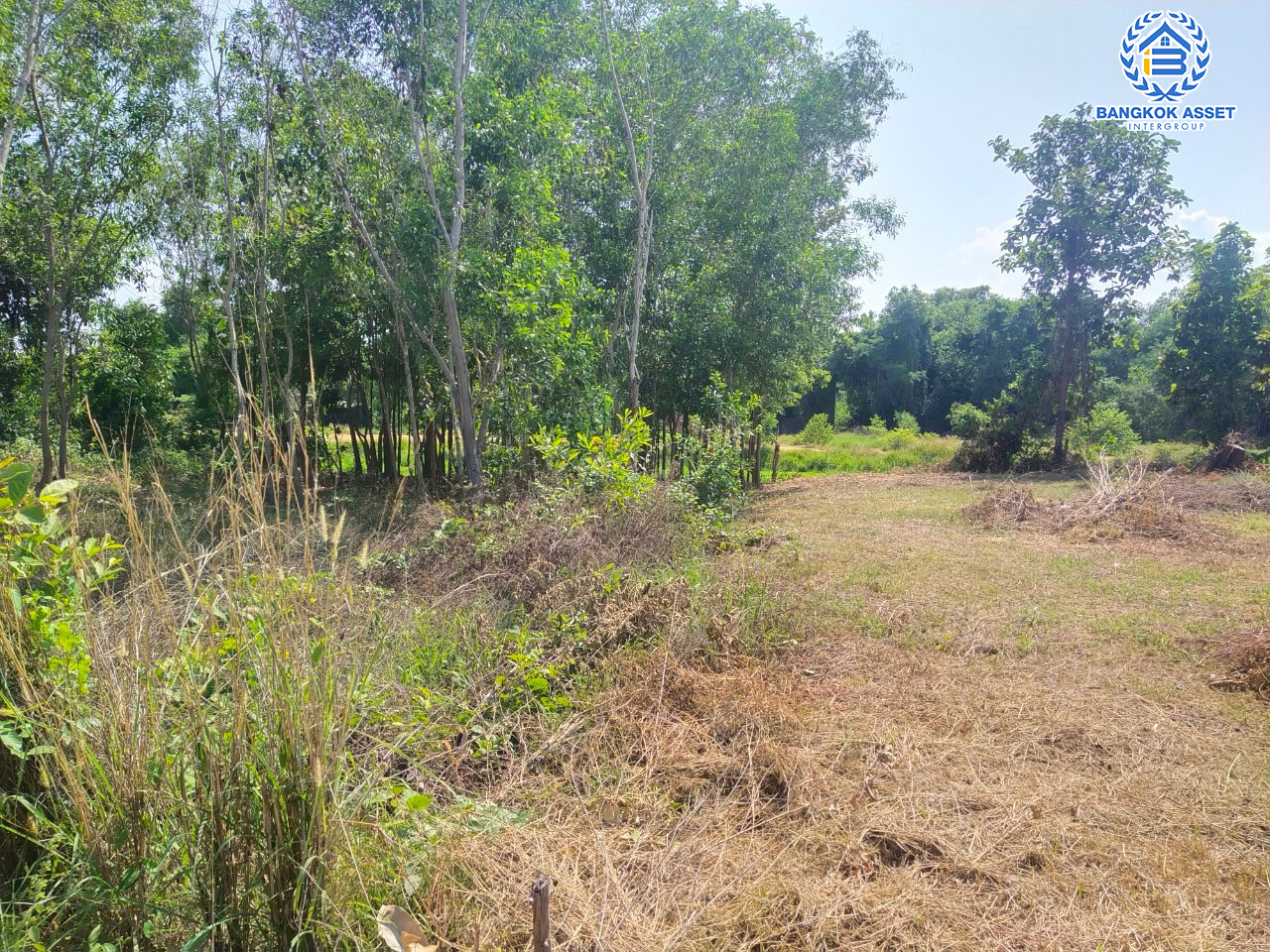 *****ที่ดินเปล่าทำเลยโสธร ที่ดินเปล่าซอยผักกาดเขียว ทำเลตัวเมืองยโสธร เนื้อที่ขนาด 74 ตร.ว. (หน้ากว้าง 12 เมตร) หน้าที่ดินติดถนนจักรวรรดิ สามารถสร้างเป็นที่อยู่อาศัยในช่วงบั้นปลายชีวิต ใกล้สวนสาธารณะพญาแถน และโรงพยาบาลยโสธร ราคาคุ้มสุดไม่ถึง 1 ล้าน!!