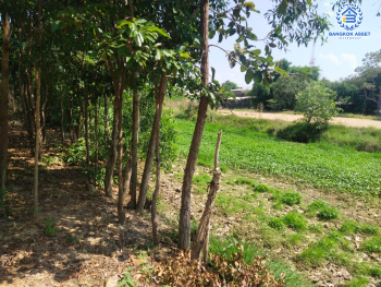 *****ที่ดินเปล่าทำเลยโสธร ที่ดินเปล่าซอยผักกาดเขียว ทำเลตัวเมืองยโสธร เนื้อที่ขนาด 74 ตร.ว. (หน้ากว้าง 12 เมตร) หน้าที่ดินติดถนนจักรวรรดิ สามารถสร้างเป็นที่อยู่อาศัยในช่วงบั้นปลายชีวิต ใกล้สวนสาธารณะพญาแถน และโรงพยาบาลยโสธร ราคาคุ้มสุดไม่ถึง 1 ล้าน!!