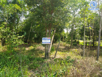 *****ที่ดินเปล่าทำเลยโสธร ที่ดินเปล่าซอยผักกาดเขียว ทำเลตัวเมืองยโสธร เนื้อที่ขนาด 74 ตร.ว. (หน้ากว้าง 12 เมตร) หน้าที่ดินติดถนนจักรวรรดิ สามารถสร้างเป็นที่อยู่อาศัยในช่วงบั้นปลายชีวิต ใกล้สวนสาธารณะพญาแถน และโรงพยาบาลยโสธร ราคาคุ้มสุดไม่ถึง 1 ล้าน!!