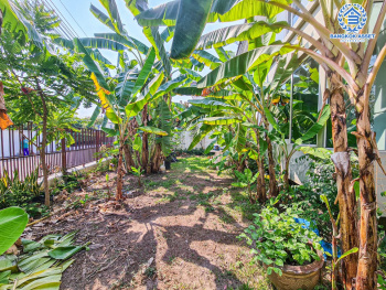 *****บ้านเดี่ยวมือสองนนทบุรี โครงการ พฤกษ์ลดา บางใหญ่ #หลังมุม เนื้อที่กว้างขวางถึง 71 ตร.ว. ฟังก์ชัน 3 ห้องนอน 3 ห้องน้ำ 2 ที่จอดรถ บ้านอยู่ต้นโครงการ บนทำเลดี เชื่อมต่อกาญจนาภิเษก, ซอยคลองถนน, ซอยแก้วอินทร์ ใกล้รถไฟฟ้าสายสีม่วง "สถานีคลองบางไผ่" และทางด่วน "กาญจนาภิเษก" จองด่วน!