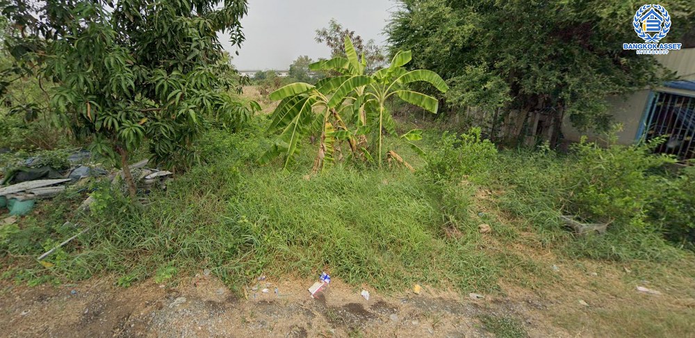 *****ที่ดินเปล่าโซนนนทบุรี ซอยวัดลาดปลาดุก เนื้อที่กว้าง 40 ตร.ว. บรรยากาศดีใกล้ชิดธรรมชาติ ตั้งบนทำเลศักยภาพใกล้ศูนย์การค้าหลายแห่ง การเดินทางสะดวกสบาย เชื่อมต่อถนนกาจนาภิเษก ถนนชัยพฤกษ์ ใกล้โครงการรถไฟฟ้าสายสีม่วง "สถานีคลองบางไผ่"