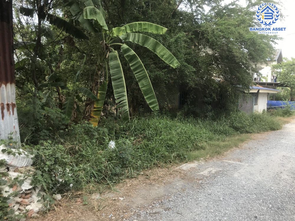 *****ที่ดินเปล่าโซนนนทบุรี ซอยวัดลาดปลาดุก เนื้อที่กว้าง 40 ตร.ว. บรรยากาศดีใกล้ชิดธรรมชาติ ตั้งบนทำเลศักยภาพใกล้ศูนย์การค้าหลายแห่ง การเดินทางสะดวกสบาย เชื่อมต่อถนนกาจนาภิเษก ถนนชัยพฤกษ์ ใกล้โครงการรถไฟฟ้าสายสีม่วง "สถานีคลองบางไผ่"