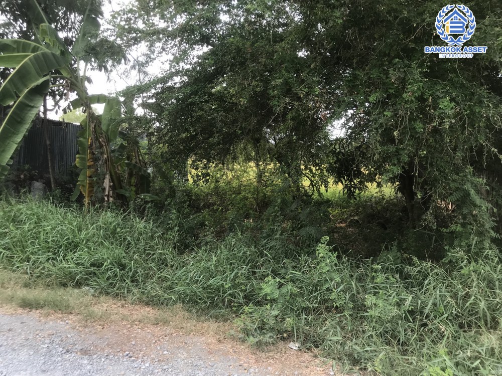*****ที่ดินเปล่าโซนนนทบุรี ซอยวัดลาดปลาดุก เนื้อที่กว้าง 40 ตร.ว. บรรยากาศดีใกล้ชิดธรรมชาติ ตั้งบนทำเลศักยภาพใกล้ศูนย์การค้าหลายแห่ง การเดินทางสะดวกสบาย เชื่อมต่อถนนกาจนาภิเษก ถนนชัยพฤกษ์ ใกล้โครงการรถไฟฟ้าสายสีม่วง "สถานีคลองบางไผ่"