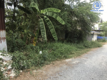 *****ที่ดินเปล่าโซนนนทบุรี ซอยวัดลาดปลาดุก เนื้อที่กว้าง 40 ตร.ว. บรรยากาศดีใกล้ชิดธรรมชาติ ตั้งบนทำเลศักยภาพใกล้ศูนย์การค้าหลายแห่ง การเดินทางสะดวกสบาย เชื่อมต่อถนนกาจนาภิเษก ถนนชัยพฤกษ์ ใกล้โครงการรถไฟฟ้าสายสีม่วง "สถานีคลองบางไผ่"