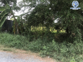 *****ที่ดินเปล่าโซนนนทบุรี ซอยวัดลาดปลาดุก เนื้อที่กว้าง 40 ตร.ว. บรรยากาศดีใกล้ชิดธรรมชาติ ตั้งบนทำเลศักยภาพใกล้ศูนย์การค้าหลายแห่ง การเดินทางสะดวกสบาย เชื่อมต่อถนนกาจนาภิเษก ถนนชัยพฤกษ์ ใกล้โครงการรถไฟฟ้าสายสีม่วง "สถานีคลองบางไผ่"