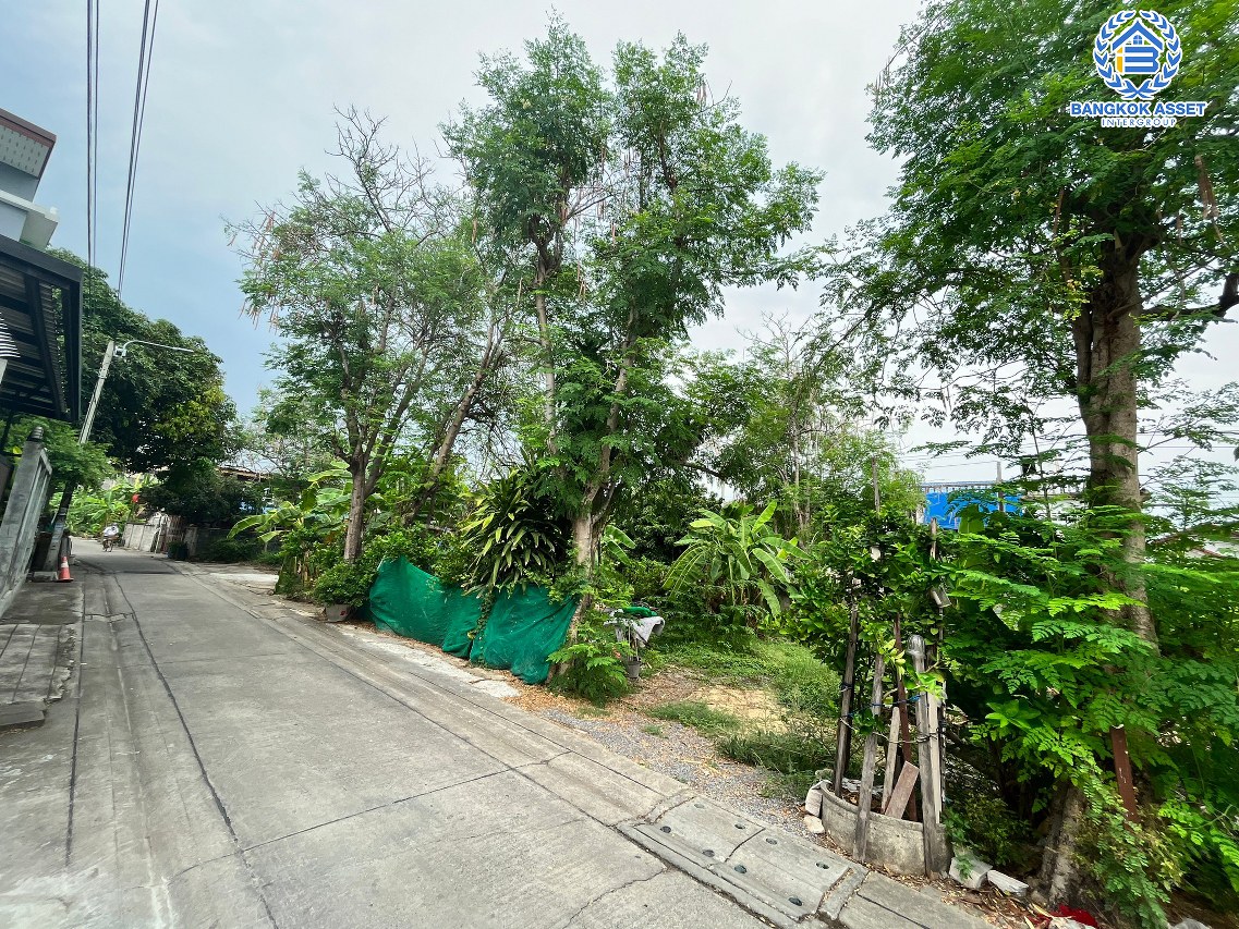 *****ที่ดินเปล่าทำเลนนทบุรี ใกล้เซ็นทรัล รัตนาธิเบศร์ ที่ดินเปล่า ซอยหลักทอง8/2 รัตนาธิเบศร์ เนื้อที่ขนาด 49 ตร.ว. (หน้ากว้าง 15 เมตร) เชื่อมต่อ ถนนรัตนาธิเบศร์ สร้างเป็นที่อยู่อาศัยก็ดี หรือจะลงทุนก็คุ้ม! เดินทางสะดวกสุดๆ ใกล้รถไฟฟ้าสายสีม่วง "สถานีแยกนนทบุรี 1" เพียง 10 นาทีเท่านั้น!!