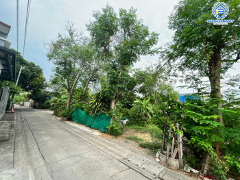 *****ที่ดินเปล่าทำเลนนทบุรี ใกล้เซ็นทรัล รัตนาธิเบศร์ ที่ดินเปล่า ซอยหลักทอง8/2 รัตนาธิเบศร์ เนื้อที่ขนาด 49 ตร.ว. (หน้ากว้าง 15 เมตร) เชื่อมต่อ ถนนรัตนาธิเบศร์ สร้างเป็นที่อยู่อาศัยก็ดี หรือจะลงทุนก็คุ้ม! เดินทางสะดวกสุดๆ ใกล้รถไฟฟ้าสายสีม่วง "สถานีแยกนนทบุรี 1" เพียง 10 นาทีเท่านั้น!!