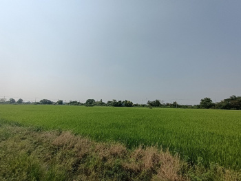 *****ที่ดินเปล่าทำเลบางคูวัด ปทุมธานี เนื้อที่กว้างถึง 6 ไร่ 78 ตร.ว. (หน้ากว้าง 130 เมตร) เหมาะแก่การสร้างเป็นที่อยู่อาศัย หรือลงทุนทำธุรกิจ สามารถเข้า-ออกได้หลายเส้นทาง เดินทางเข้าเมืองอย่างง่ายดาย เชื่อมต่อถนนเลียบคลองเกาะเกรียง ถนนสะพานนนทบุรี-บางบัวทอง