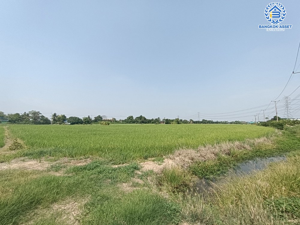 *****ที่ดินเปล่าบางคูวัด ปทุมธานี เนื้อที่กว้างถึง 6 ไร่ (หน้ากว้าง 130 เมตร) เหมาะแก่การสร้างเป็นที่อยู่อาศัย และลงทุนทำธุรกิจ สามารถเข้า-ออกได้หลายเส้นทาง เดินทางเข้า-ออกในเมืองอย่างง่ายดาย เชื่อมต่อถนนเลียบคลองเกาะเกรียง ถนนสะพานนนทบุรี-บางบัวทอง