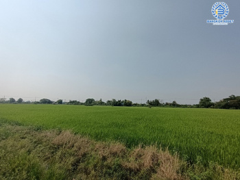 *****ที่ดินเปล่าบางคูวัด ปทุมธานี เนื้อที่กว้างถึง 6 ไร่ (หน้ากว้าง 130 เมตร) เหมาะแก่การสร้างเป็นที่อยู่อาศัย และลงทุนทำธุรกิจ สามารถเข้า-ออกได้หลายเส้นทาง เดินทางเข้า-ออกในเมืองอย่างง่ายดาย เชื่อมต่อถนนเลียบคลองเกาะเกรียง ถนนสะพานนนทบุรี-บางบัวทอง