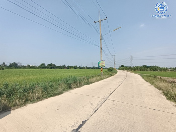 *****ที่ดินเปล่าบางคูวัด ปทุมธานี เนื้อที่กว้างถึง 6 ไร่ (หน้ากว้าง 130 เมตร) เหมาะแก่การสร้างเป็นที่อยู่อาศัย และลงทุนทำธุรกิจ สามารถเข้า-ออกได้หลายเส้นทาง เดินทางเข้า-ออกในเมืองอย่างง่ายดาย เชื่อมต่อถนนเลียบคลองเกาะเกรียง ถนนสะพานนนทบุรี-บางบัวทอง