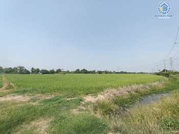 *****ที่ดินเปล่าบางคูวัด ปทุมธานี เนื้อที่กว้างถึง 6 ไร่ (หน้ากว้าง 130 เมตร) เหมาะแก่การสร้างเป็นที่อยู่อาศัย และลงทุนทำธุรกิจ สามารถเข้า-ออกได้หลายเส้นทาง เดินทางเข้า-ออกในเมืองอย่างง่ายดาย เชื่อมต่อถนนเลียบคลองเกาะเกรียง ถนนสะพานนนทบุรี-บางบัวทอง