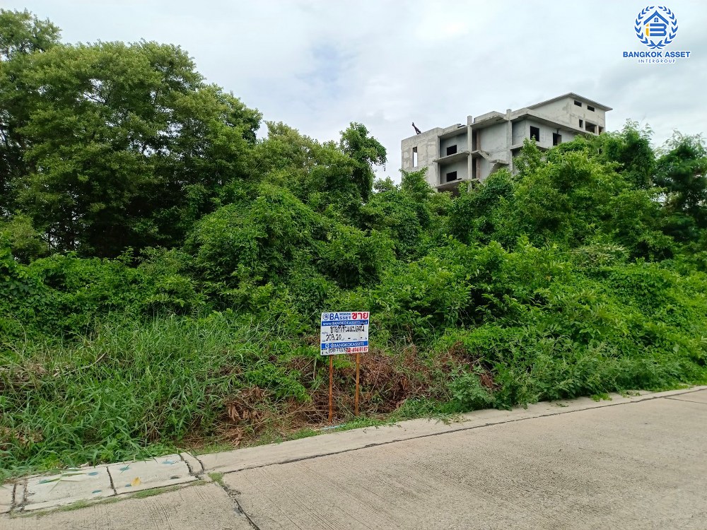 *****ที่ดินเปล่ามือสอง ซอยนนทบุรี40 เนื้อที่กว้าง 200 ตร.ว. โซนสนามบินน้ำใกล้กองสลาก ติดถนนแหมาะแก่การทำอพาร์ทเม้นท์ หรือสร้างบ้าน บนทำเลเดินทางสะดวก เชื่อมต่อถนนเลี่ยงเมืองนนทบุรี ถนนนนทบุรี ถนนรัตนาธิเบศร์ ใกล้ห้างสรรพสินค้าเซ็นทรัลรัตนาธิเบศร์