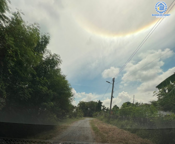 *****ที่ดินเปล่าทำเลแห่งการเดินทาง! ที่ดินเปล่าศาลายา การ์เด้นท์ ศาลายา-นครชัยศรี เนื้อที่ขนาด 205 ตร.ว. (หน้ากว้าง 20 เมตร) บนทำเลส่วนตัวจะสร้างเป็นที่อยู่อาศัยก็ดี หรือจะลงทุนก็คุ้ม! สามารถเข้า-ออกได้หลายเส้นทาง เดินทางเข้าเมืองสะดวกสบาย ใกล้จุดขึ้นทางด่วน "บางใหญ่-กาญจนบุรี" ในราคาคุ้มสุดๆ