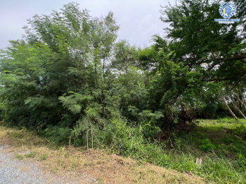 *****ที่ดินเปล่าทำเลแห่งการเดินทาง! ที่ดินเปล่าศาลายา การ์เด้นท์ ศาลายา-นครชัยศรี เนื้อที่ขนาด 205 ตร.ว. (หน้ากว้าง 20 เมตร) บนทำเลส่วนตัวจะสร้างเป็นที่อยู่อาศัยก็ดี หรือจะลงทุนก็คุ้ม! สามารถเข้า-ออกได้หลายเส้นทาง เดินทางเข้าเมืองสะดวกสบาย ใกล้จุดขึ้นทางด่วน "บางใหญ่-กาญจนบุรี" ในราคาคุ้มสุดๆ