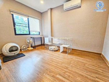 *****บ้านเดี่ยวมือสอง โครงการ Centro ราชพฤกษ์2 หลังมุม เนื้อที่ 65.40 ตร.ว. ฟังก์ชัน 4 ห้องนอน 5 ห้องน้ำ 3 ที่จอดรถ ภายในสไตล์อบอุ่น ภายนอกมีพื้นที่โล่งกว้าง โครงการบนทำเลดี เชื่อมต่อถนนบางกรวย-ไทรน้อย ถนนราชพฤกษ์ ใกล้เซ็นทรัล เวสต์เกต และรถไฟฟ้าสายสีม่วง "สถานีบางพลู"