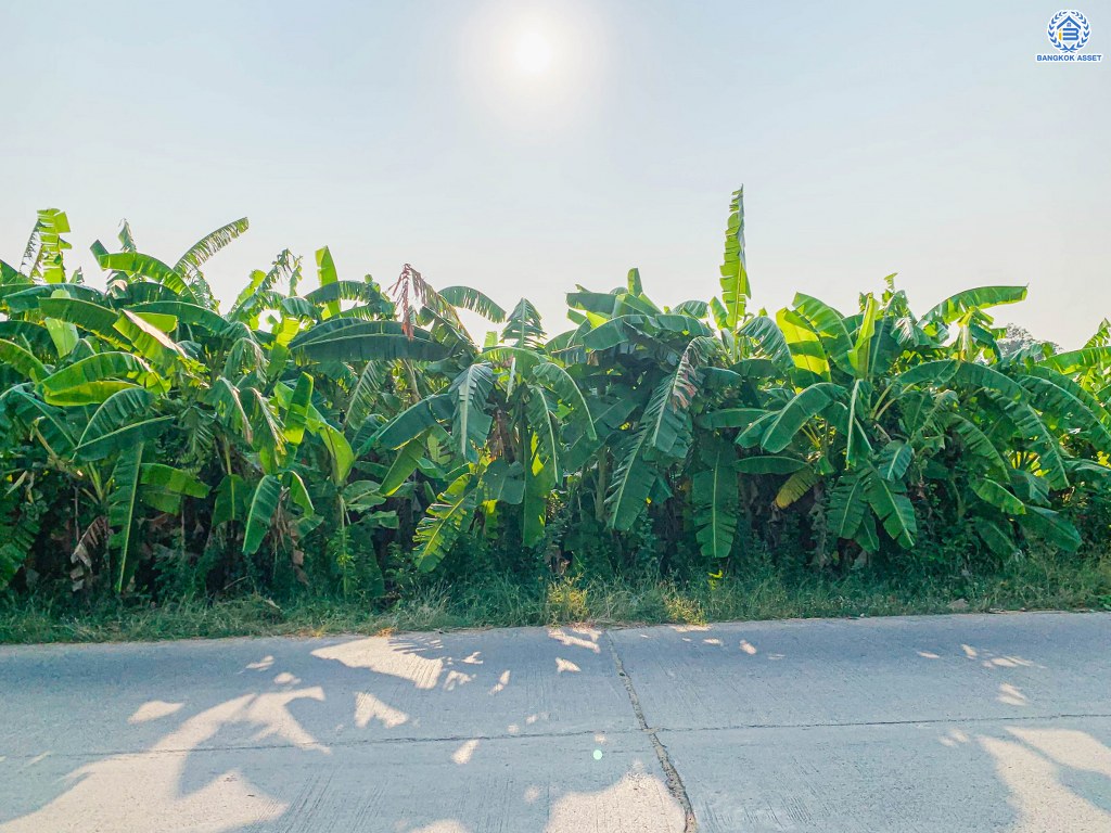 *****ที่ดินเปล่า ซอยวัดโพรงมะเดื่อย เนื้อที่ 1 ไร่ 1 งาน 18 ตร.ว. โครงการบนทำเลเดินทางสะดวก เชื่อมต่อถนนเลียบคลองชลลประทาน, ถนนโพรงมะเดือ-บ้านไร, ถนนศรีลำพยา ใกล้มหาวิทยาลัยหิดล ศาลายา