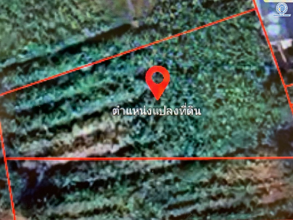 *****ที่ดินเปล่า ซอยวัดโพรงมะเดื่อย เนื้อที่ 1 ไร่ 1 งาน 18 ตร.ว. โครงการบนทำเลเดินทางสะดวก เชื่อมต่อถนนเลียบคลองชลลประทาน, ถนนโพรงมะเดือ-บ้านไร, ถนนศรีลำพยา ใกล้มหาวิทยาลัยหิดล ศาลายา