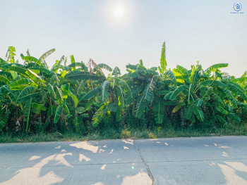 *****ที่ดินเปล่า ซอยวัดโพรงมะเดื่อย เนื้อที่ 1 ไร่ 1 งาน 18 ตร.ว. โครงการบนทำเลเดินทางสะดวก เชื่อมต่อถนนเลียบคลองชลลประทาน, ถนนโพรงมะเดือ-บ้านไร, ถนนศรีลำพยา ใกล้มหาวิทยาลัยหิดล ศาลายา