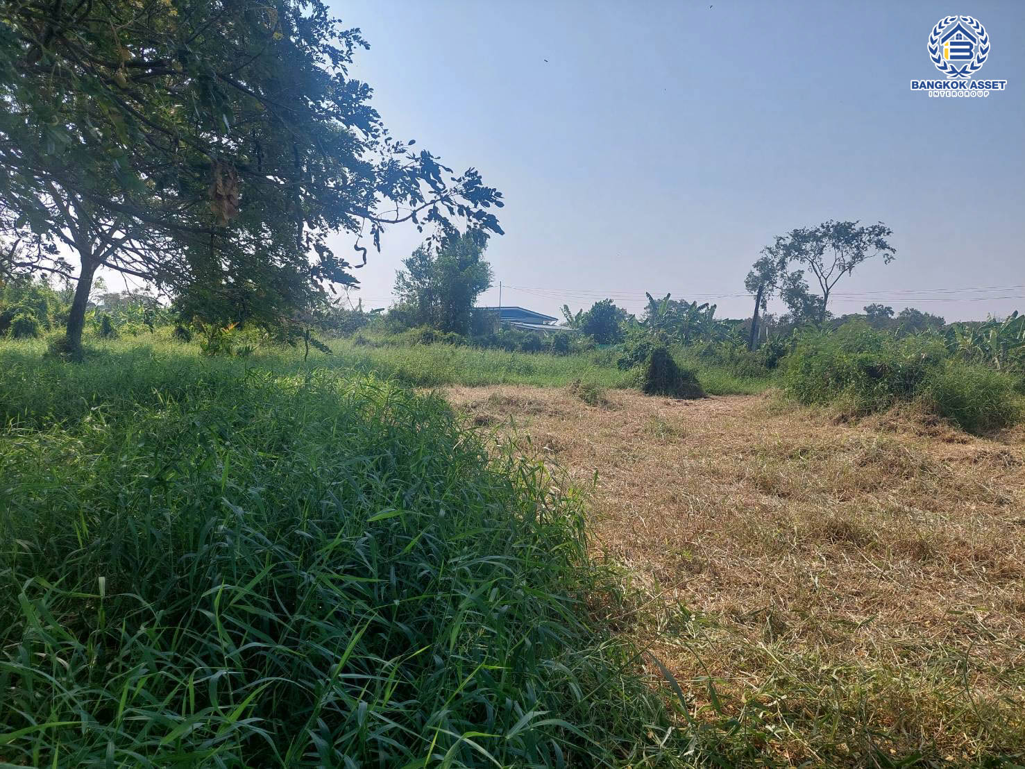 *****ที่ดินเปล่า ถนนขุมทอง-ลําต้อยติ่ง เนื้อที่ 6 งาน 720 ตร.ว. จะสร้างเป็นที่อยู่อาศัยก็ดี หรือจะลงทุนสร้างธุรกิจก็คุ้ม เชื่อมต่อถนนขุมทอง-ลำต้อยติ่ง, ถนนหลวงแพ่ง ใกล้มหาวิทยาลัยพระจอมเกล้าเจ้าคุณทหารลาดกระบัง