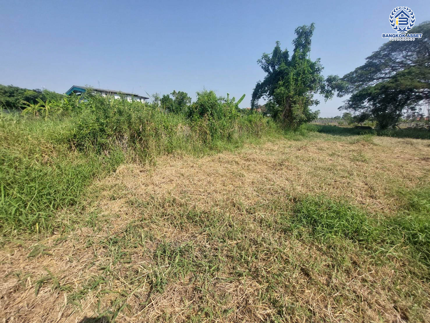 *****ที่ดินเปล่า ถนนขุมทอง-ลําต้อยติ่ง เนื้อที่ 6 งาน 720 ตร.ว. จะสร้างเป็นที่อยู่อาศัยก็ดี หรือจะลงทุนสร้างธุรกิจก็คุ้ม เชื่อมต่อถนนขุมทอง-ลำต้อยติ่ง, ถนนหลวงแพ่ง ใกล้มหาวิทยาลัยพระจอมเกล้าเจ้าคุณทหารลาดกระบัง