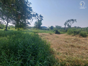 *****ที่ดินเปล่า ถนนขุมทอง-ลําต้อยติ่ง เนื้อที่ 6 งาน 720 ตร.ว. จะสร้างเป็นที่อยู่อาศัยก็ดี หรือจะลงทุนสร้างธุรกิจก็คุ้ม เชื่อมต่อถนนขุมทอง-ลำต้อยติ่ง, ถนนหลวงแพ่ง ใกล้มหาวิทยาลัยพระจอมเกล้าเจ้าคุณทหารลาดกระบัง