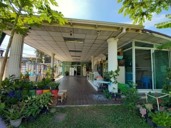 ขายที่ดิน แถมโรงรถและสนามหญ้า รามอินทรา ซอยมัยลาภ (แปลงมุม)