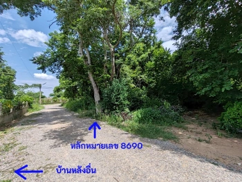 ขายที่ดิน โนนฝรั่ง หัวทะเล นครราชสีมา