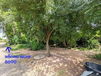 ขายที่ดิน โนนฝรั่ง หัวทะเล นครราชสีมา