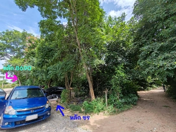 ขายที่ดิน โนนฝรั่ง หัวทะเล นครราชสีมา