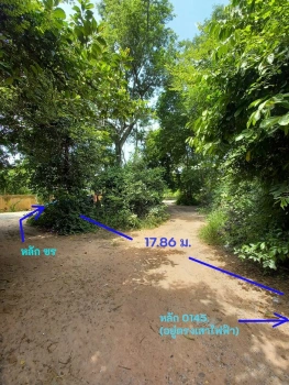 ขายที่ดิน โนนฝรั่ง หัวทะเล นครราชสีมา