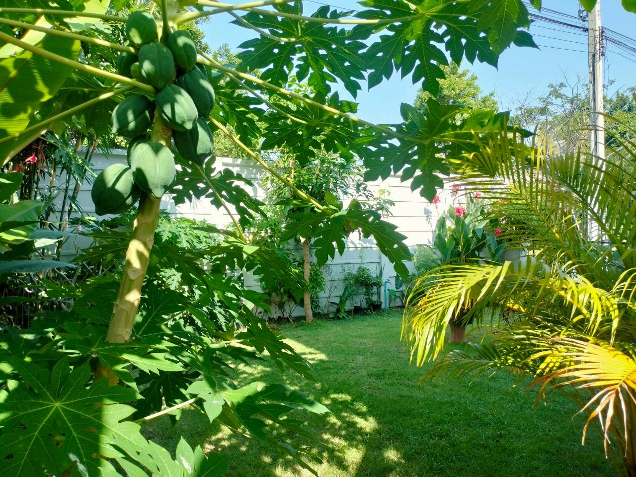 🚩ให้เช่า 🏡บ้านแฝด หลังริม 👉โมดิ วิลล่า บางนา ในบางเสาธง, สมุทรปราการ บ้านสวย พร้อมอยู่👈