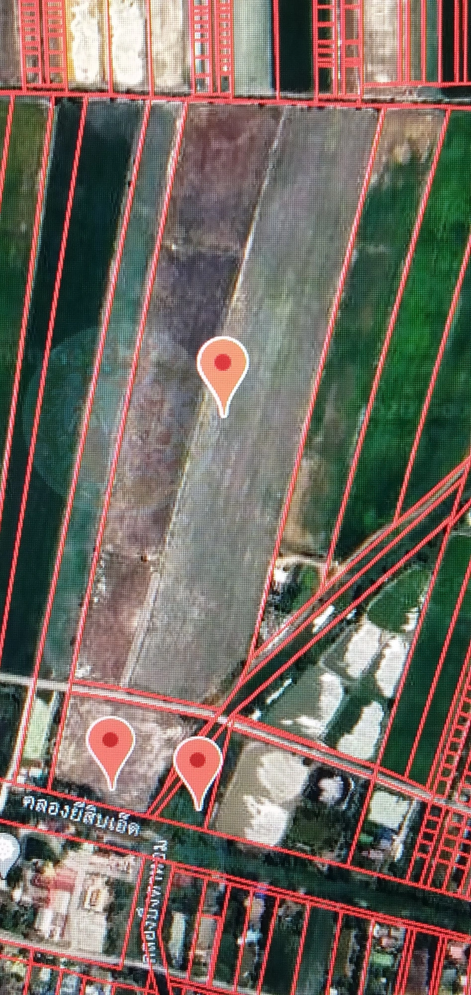 ขายที่ดิน คลอง 21 อำเภอบางน้ำเปรี้ยว จังหวัดฉะเชิงเทรา