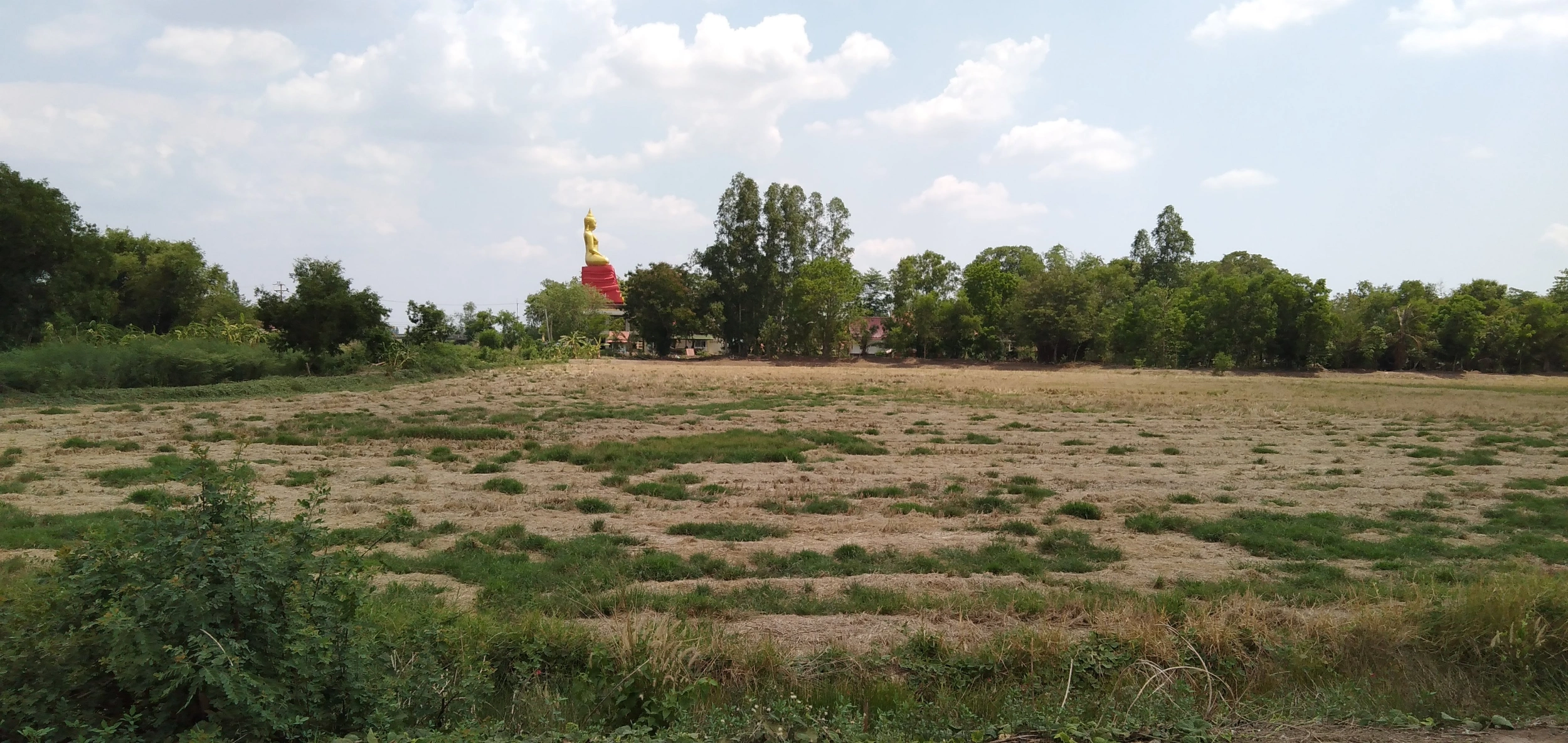 ขายที่ดิน คลอง 21 อำเภอบางน้ำเปรี้ยว จังหวัดฉะเชิงเทรา