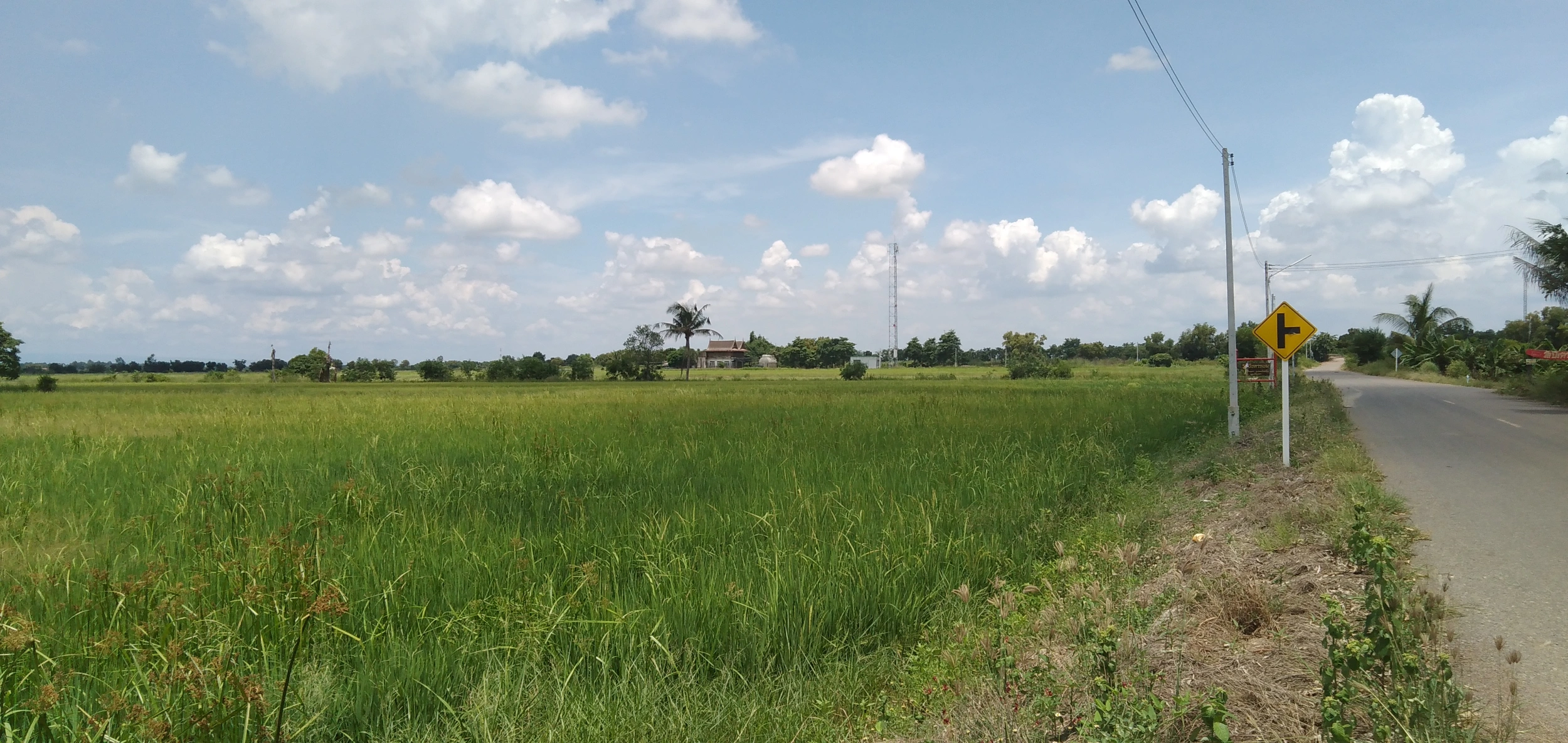 ขายที่ดิน คลอง 21 อำเภอบางน้ำเปรี้ยว จังหวัดฉะเชิงเทรา