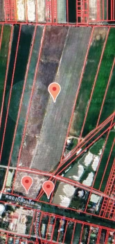 ขายที่ดิน คลอง 21 อำเภอบางน้ำเปรี้ยว จังหวัดฉะเชิงเทรา