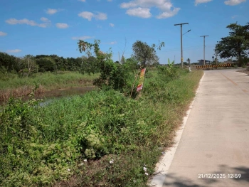 ขายถูกที่ดินใกล้วัดปัญญานันทาราม 1 ไร่ ติดถนนคอนกรีตสาธารณะ ซ.คลองห้า ตอ.38 อ.คลองหลวง จ.ปทุมธานี